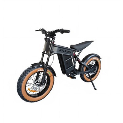 Moto da 2500W a do motori